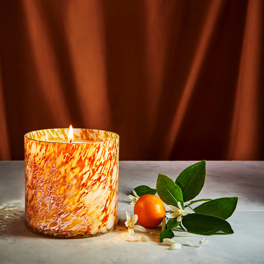 1189-absolute-orange-blossom-candle-8.webp Absolute Orange Blossom Candle