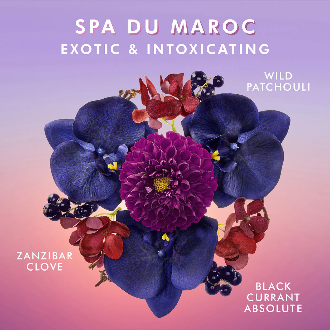 Body Lotion Spa du Maroc