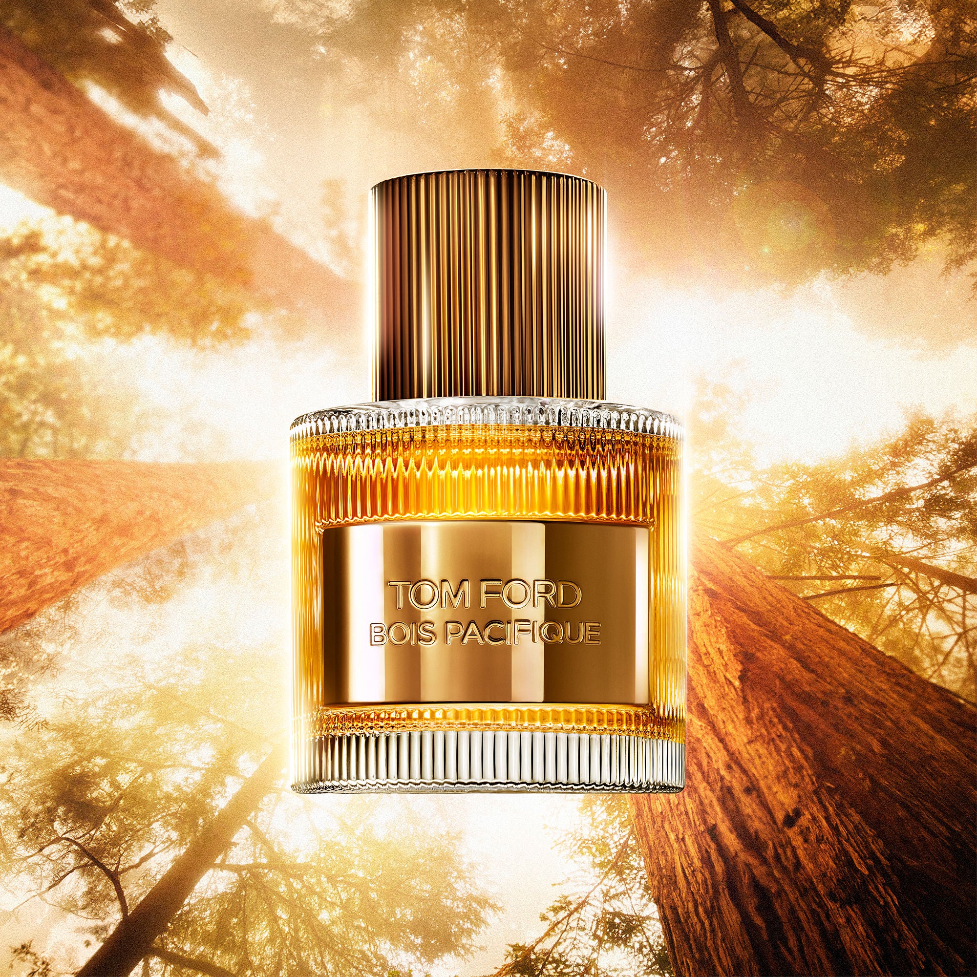 Bois Pacifique Eau De Parfum Fragrance
