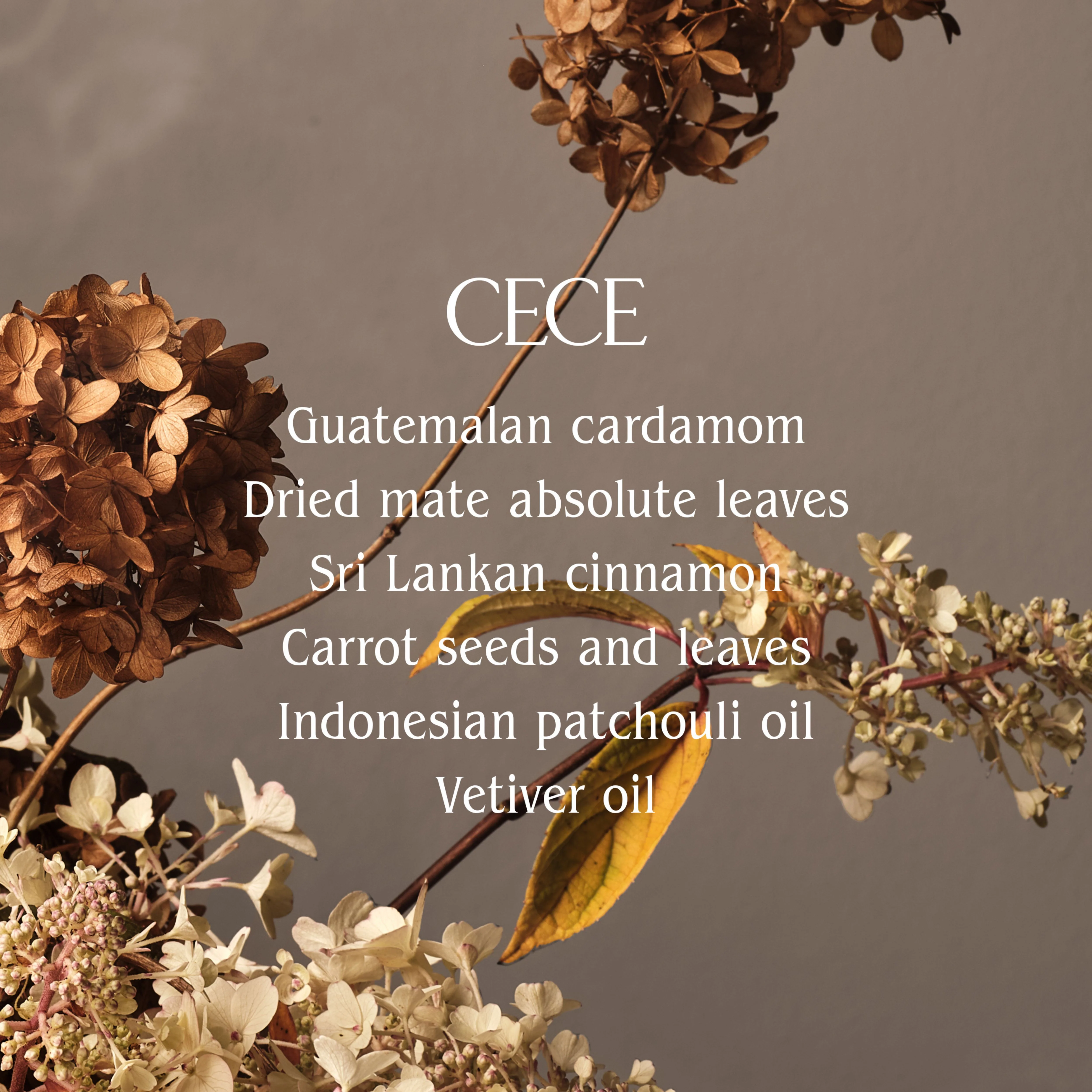 2786-cece-surface-cleaner-2.webp Cece Surface Cleaner