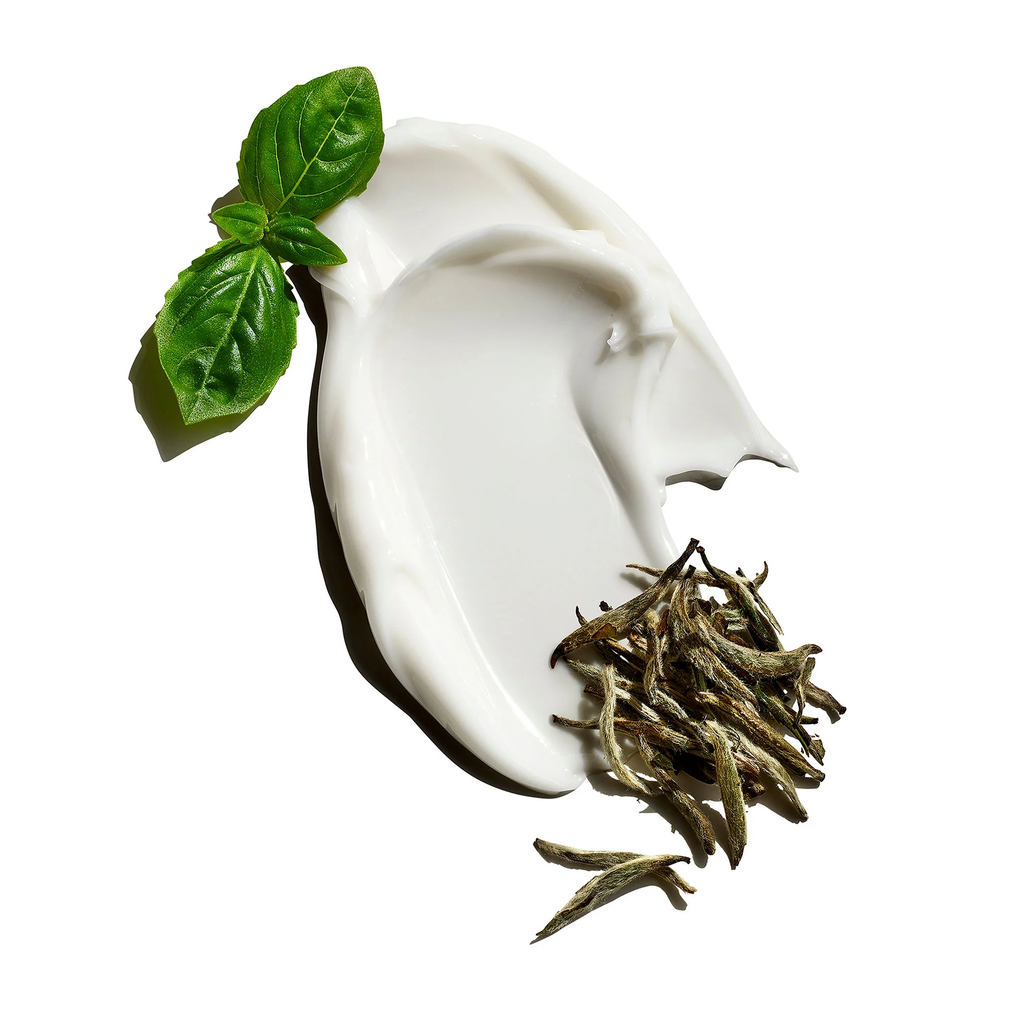 Clean Break Oil Free Moisturizer