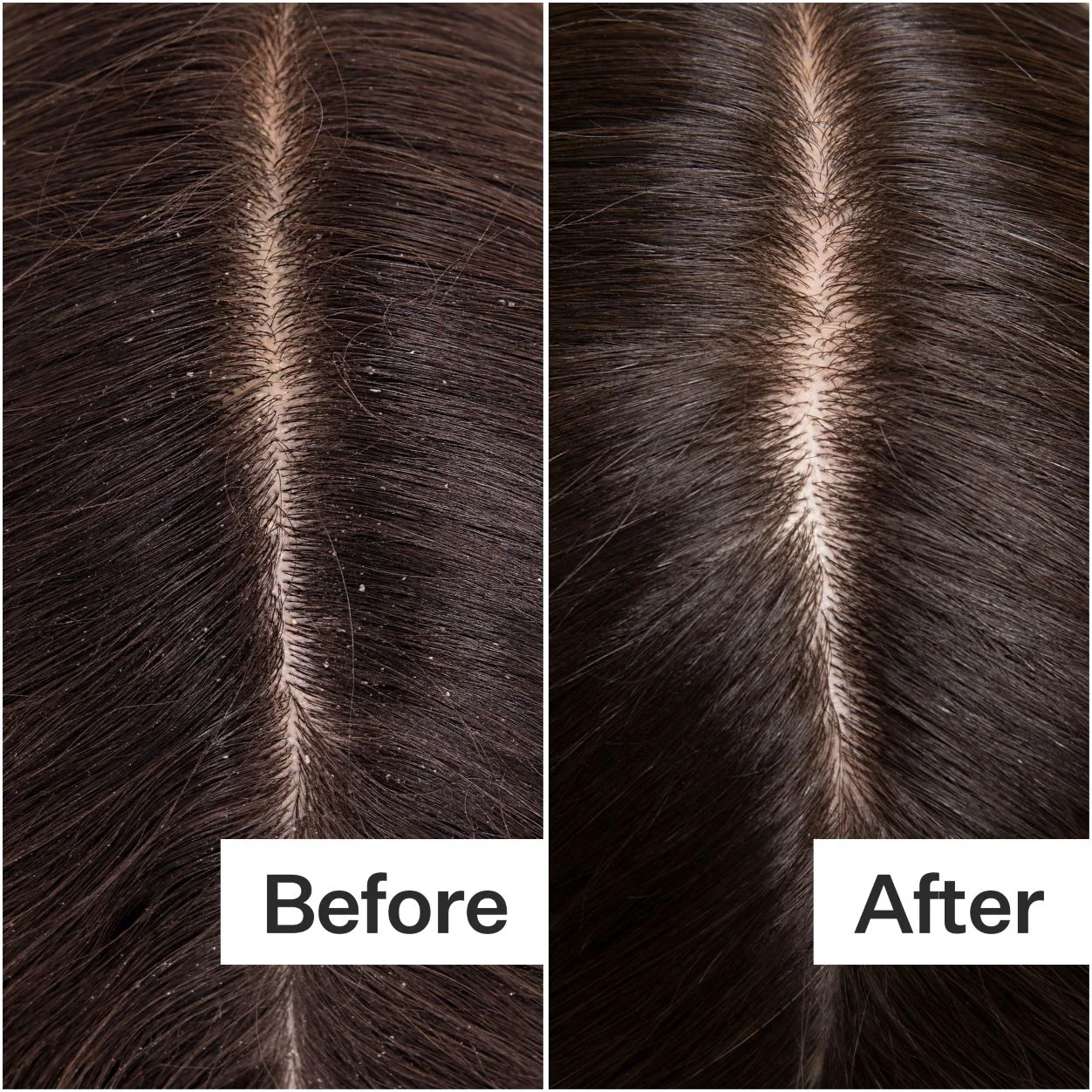 3126-cold-processed-hair-cleanse-shampoo-3.webp Cold Processed Hair Cleanse Shampoo