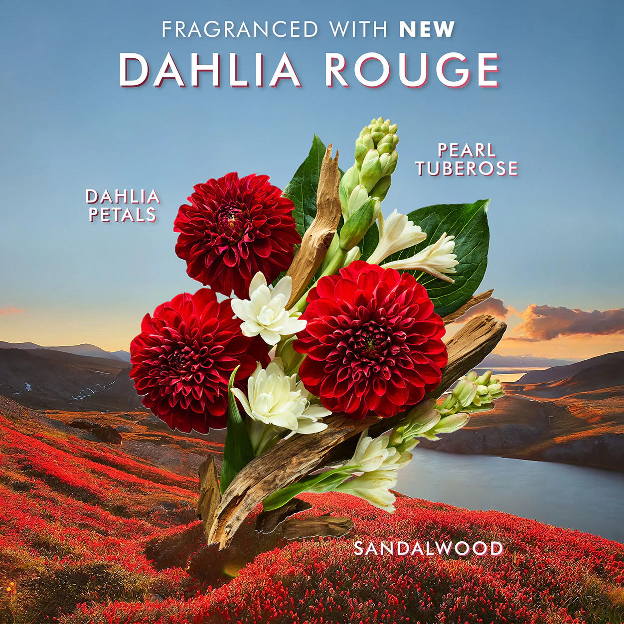 3622-dahlia-rouge-hand-cream-6.webp Dahlia Rouge Hand Cream