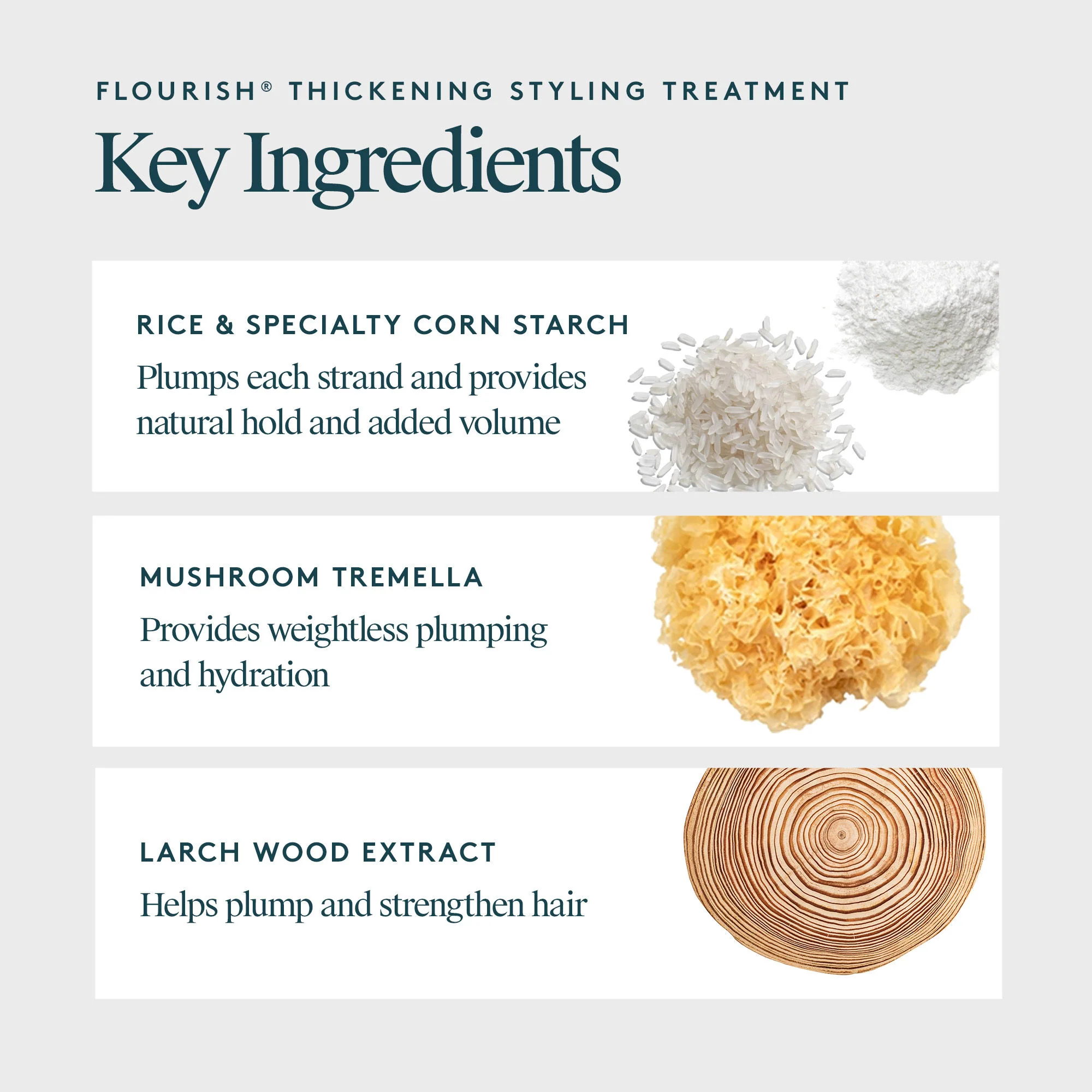 4954-flourish-thickening-styling-treatment-10.webp Flourish Thickening Styling Treatment