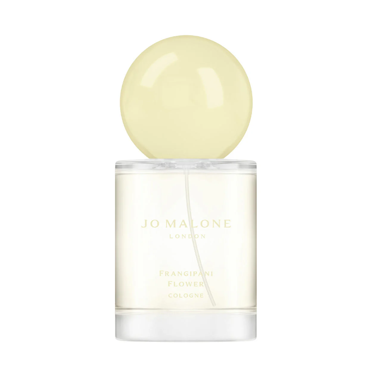 Frangipani Flower Cologne