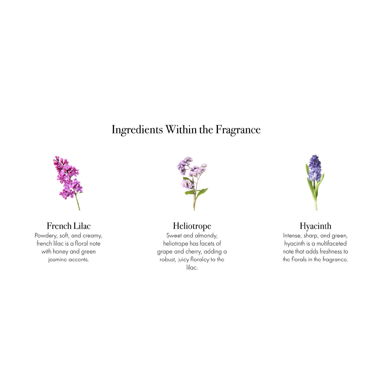 5029-french-lilac-candle-9.webp French Lilac Candle