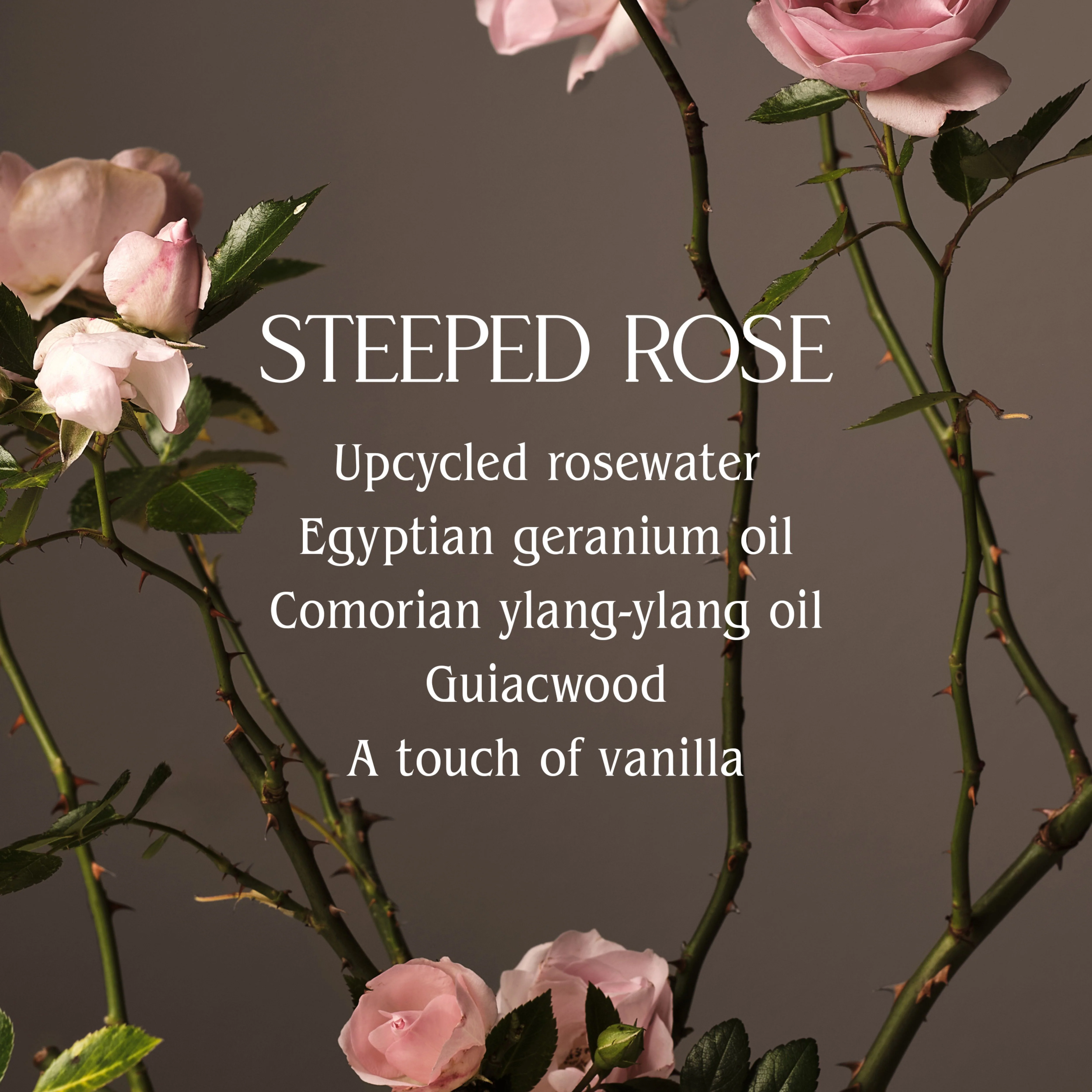 Steeped Rose Candle