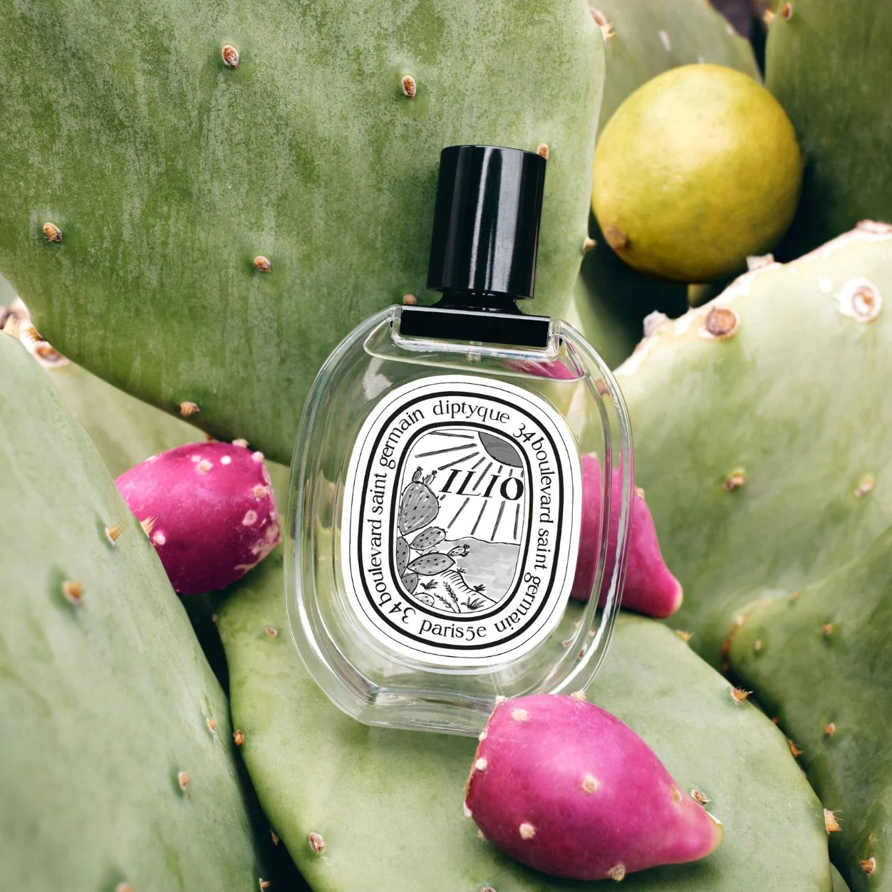 6012-ilio-eau-de-toilette-4.webp Ilio Eau De Toilette
