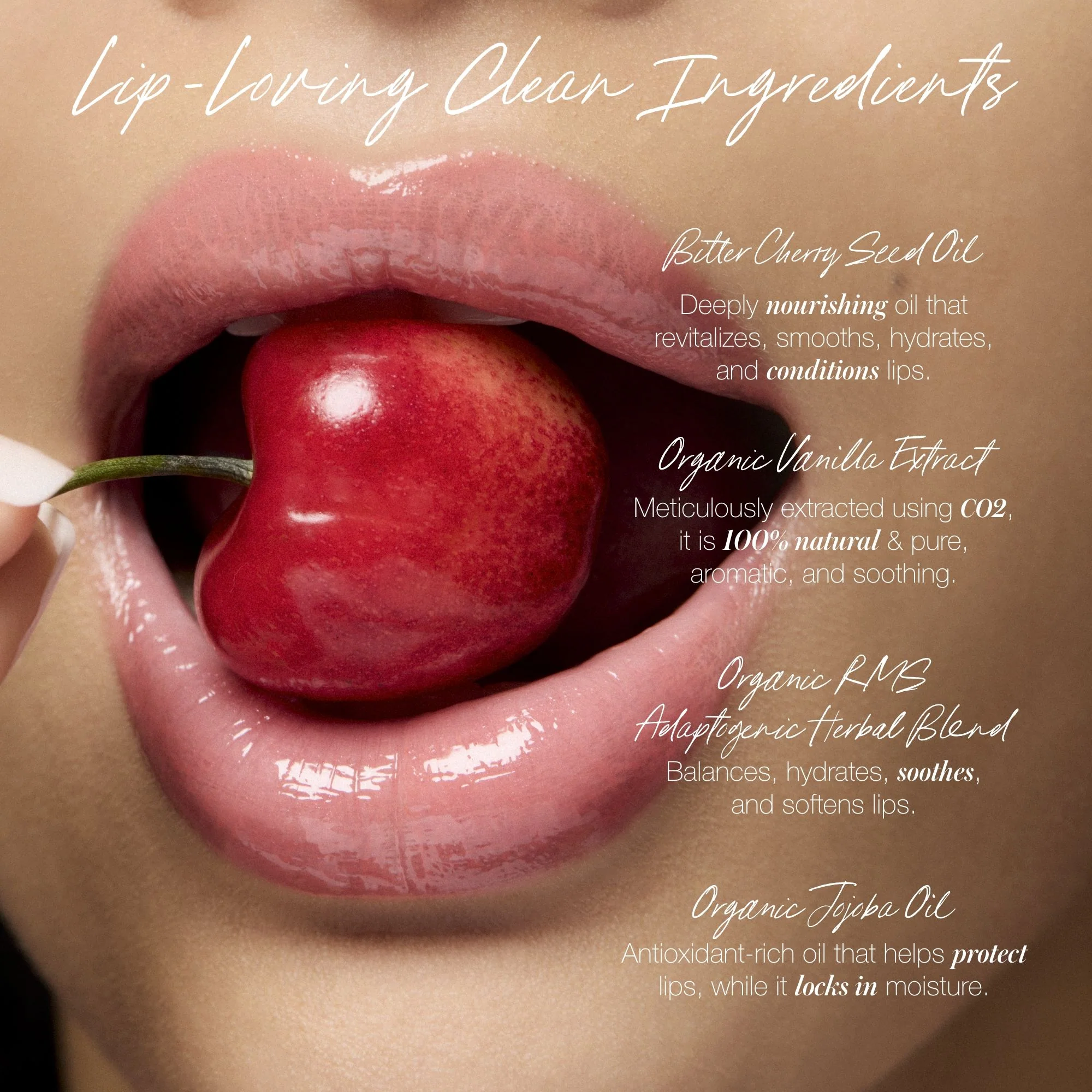6510-legendary-lip-oil-9.webp Legendary Lip Oil