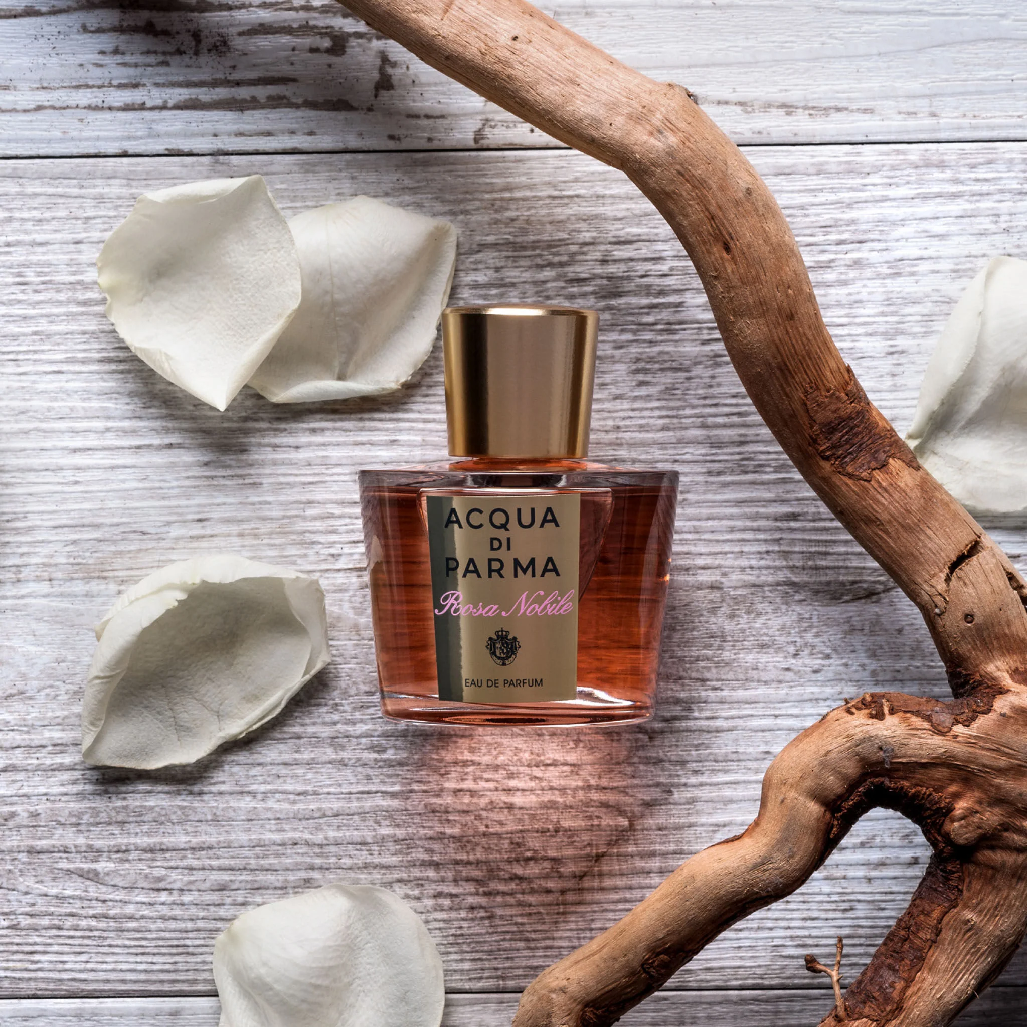 Rosa Nobile Eau de Parfum