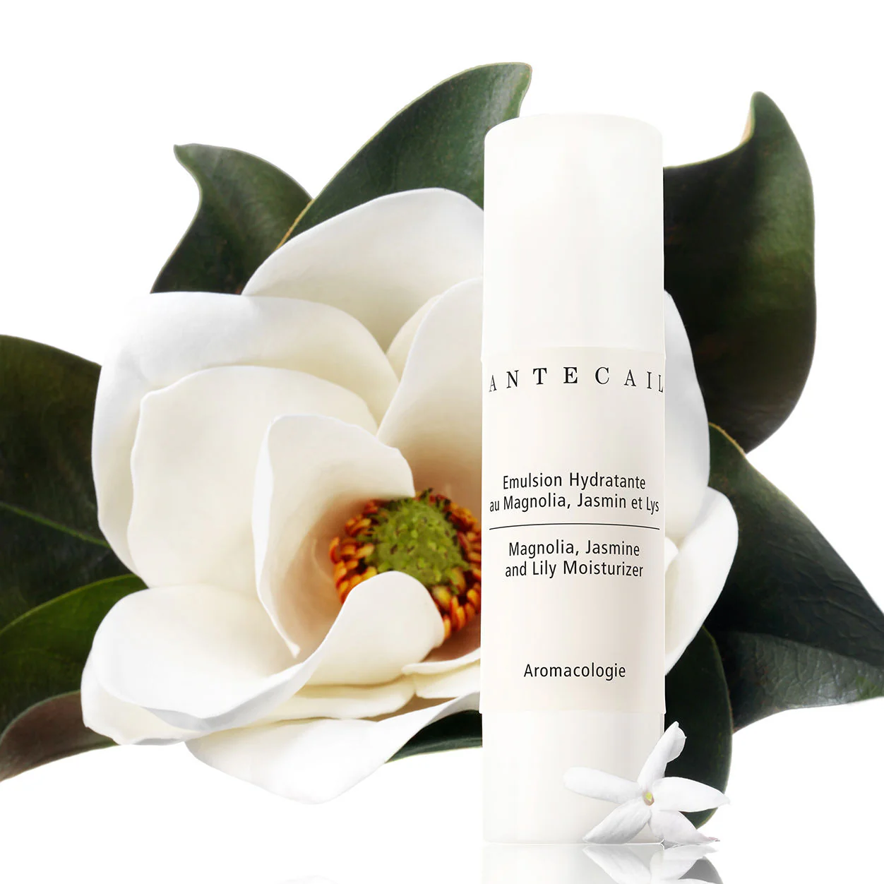 7265-magnolia-jasmine-and-lily-moisturizer-3.webp Magnolia, Jasmine and Lily Moisturizer