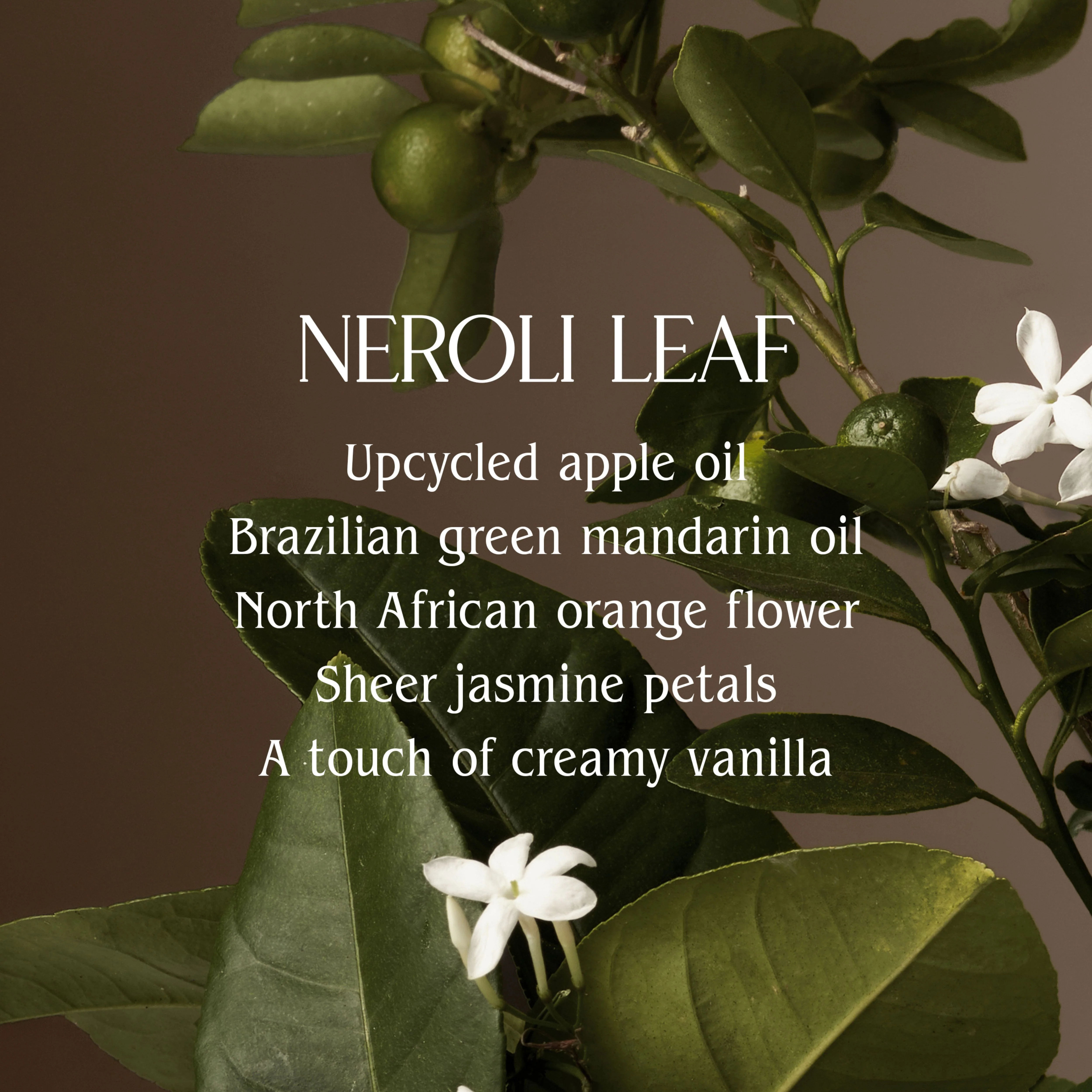 7755-neroli-leaf-surface-cleaner-2.webp Neroli Leaf Surface Cleaner