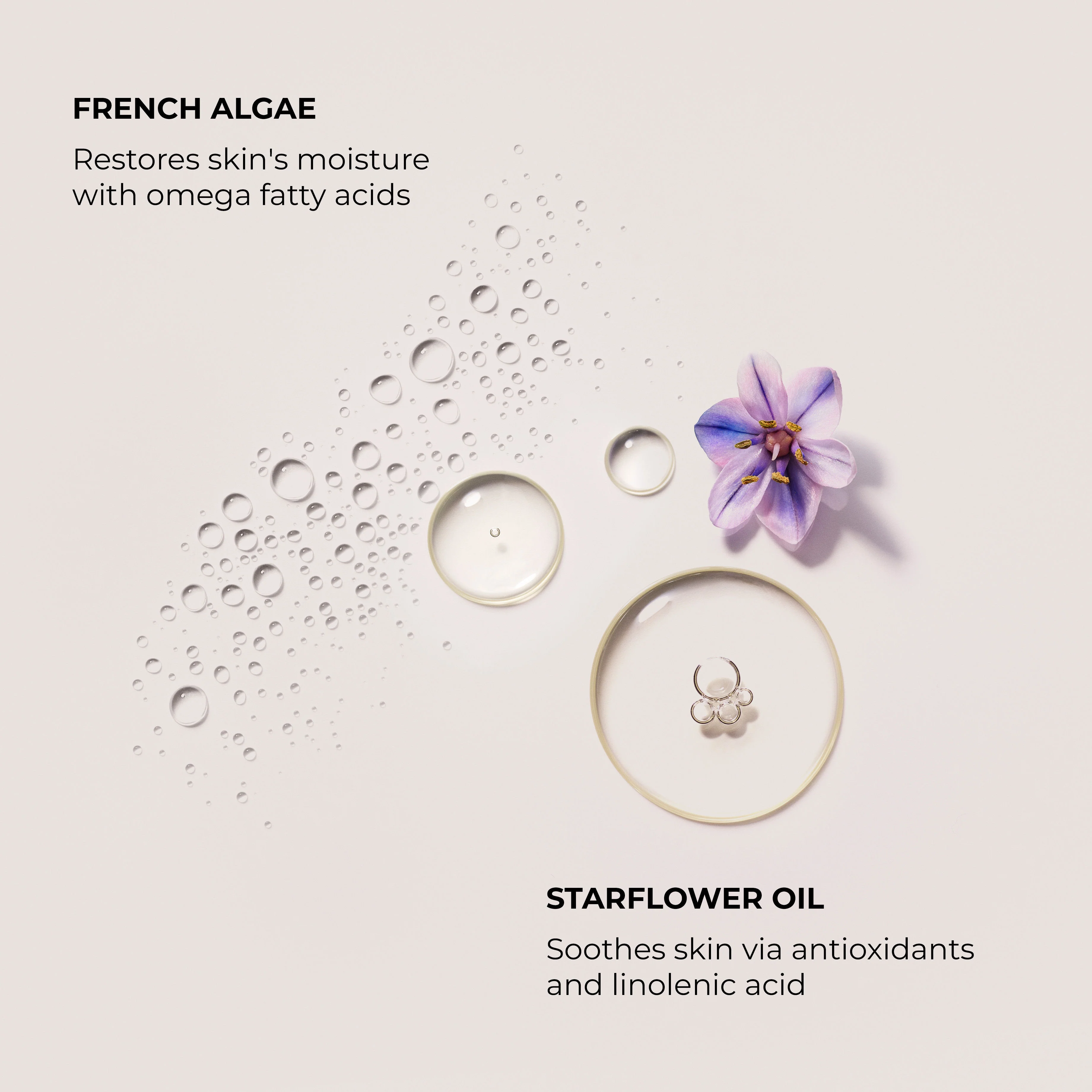 7766-n-roli-du-sud-souffl-hand-cream-4.webp Néroli du Sud Soufflé Hand Cream