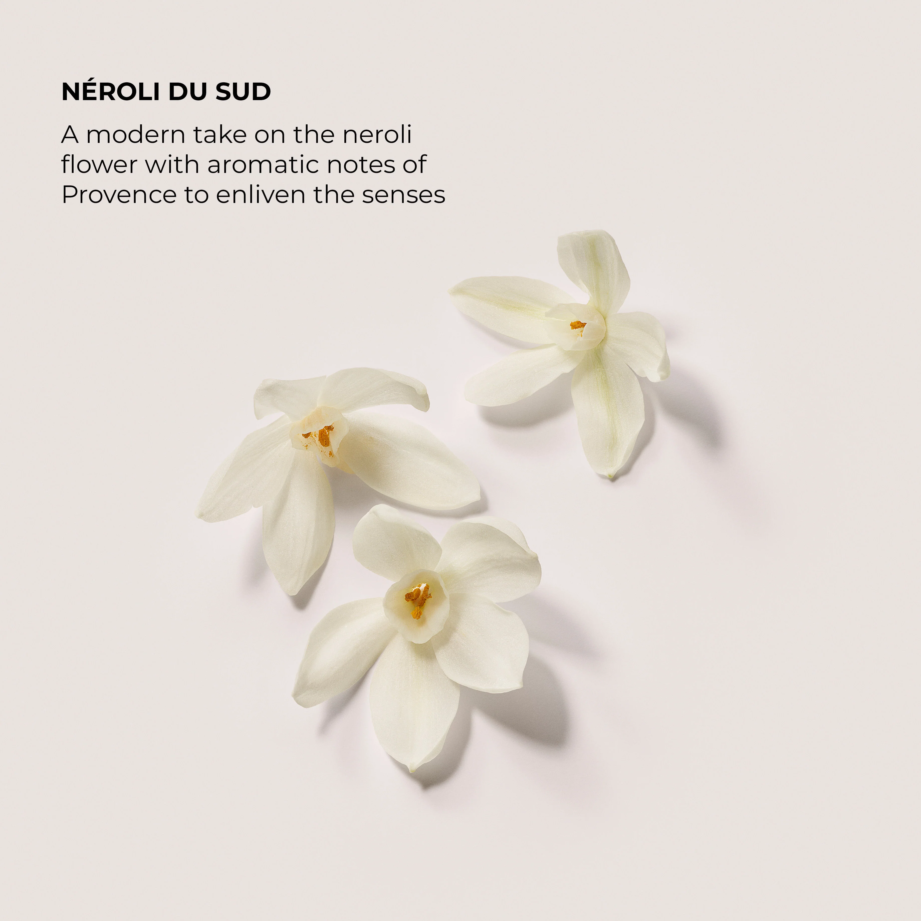 7766-n-roli-du-sud-souffl-hand-cream-5.webp Néroli du Sud Soufflé Hand Cream