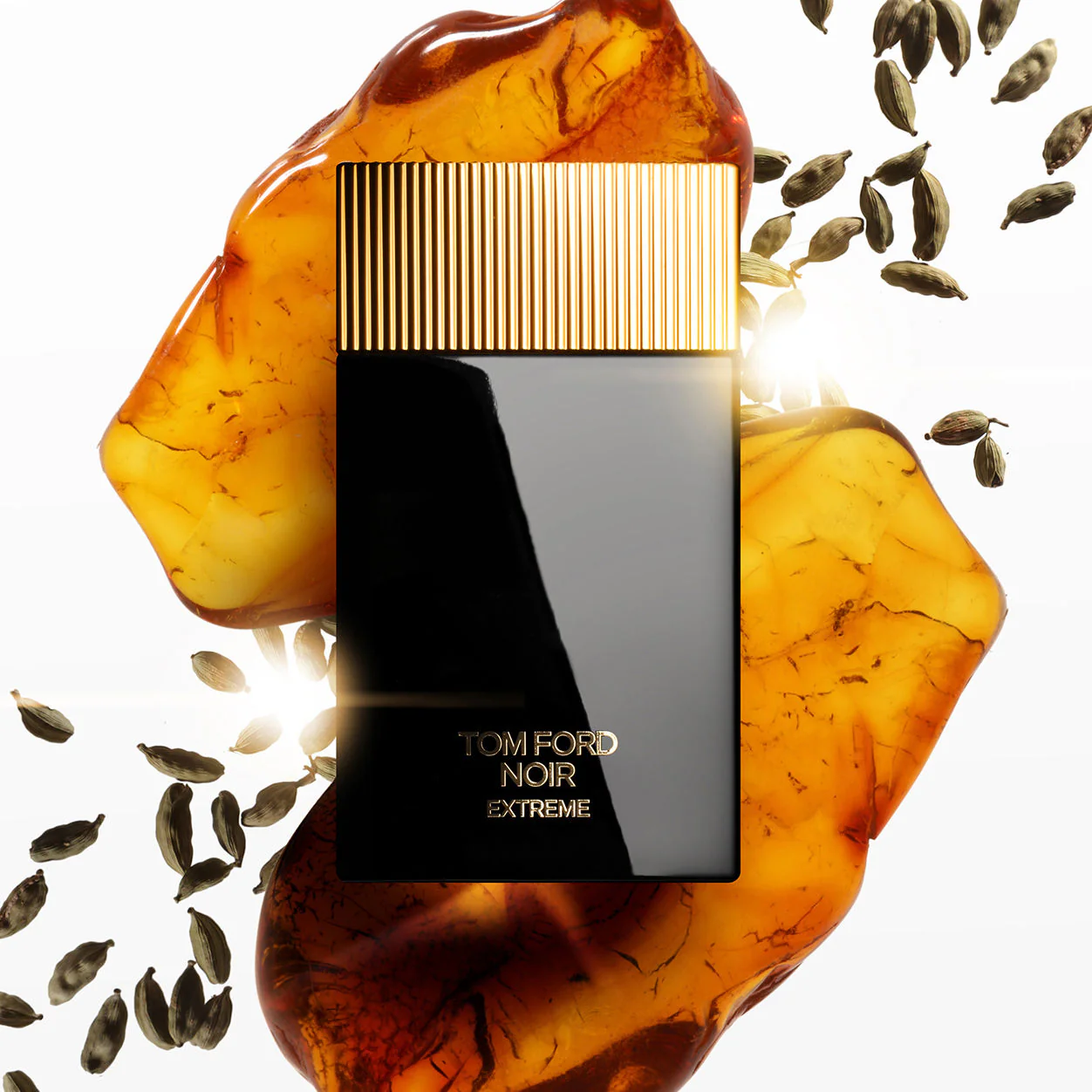7868-noir-extreme-eau-de-parfum-4.webp Noir Extreme Eau de Parfum